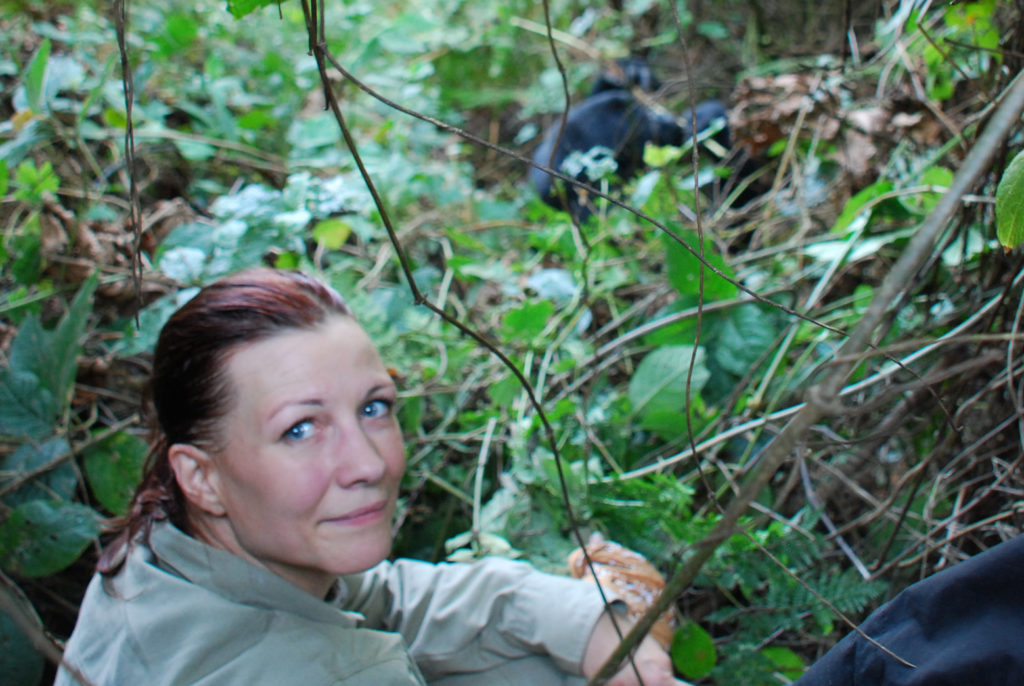 Uganda & Gorillas overland