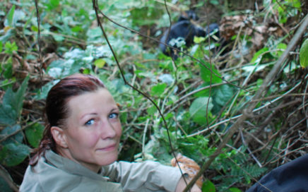 Uganda & Gorillas overland