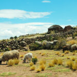 Titicaca_taquileudsigt